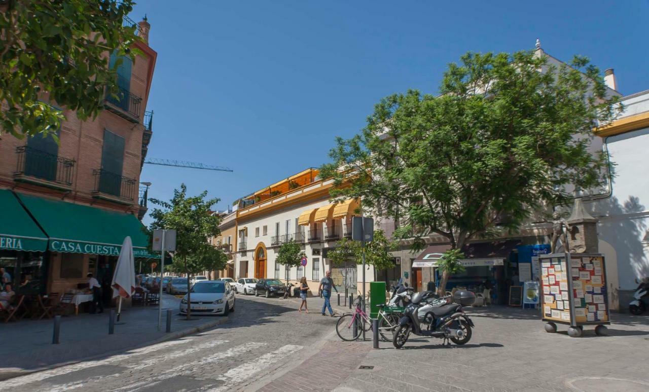 Pureza Oasis Appartement