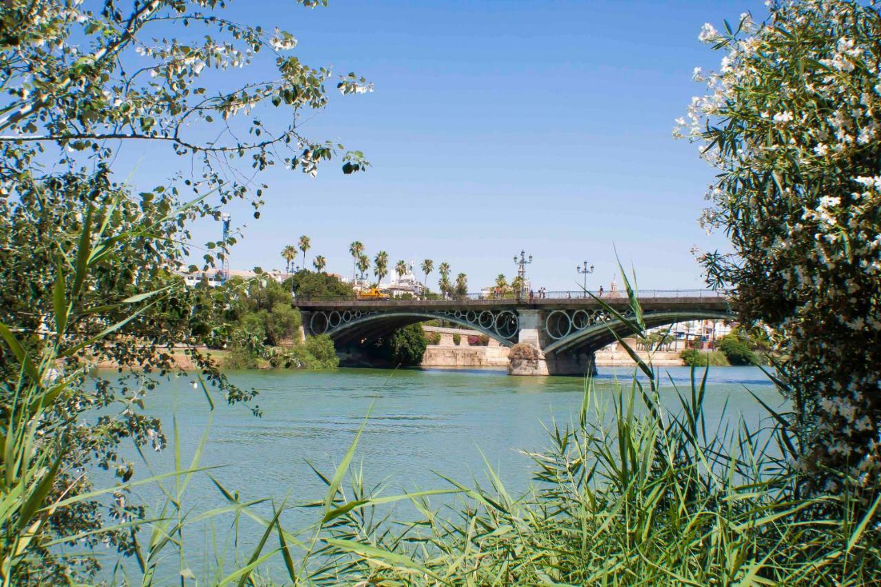 Pureza Oasis Séville