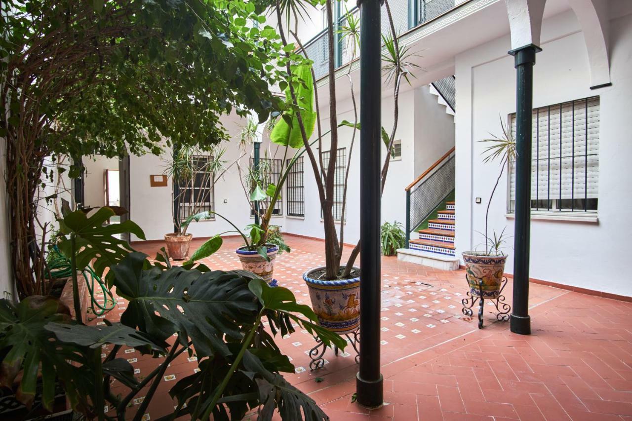 Pureza Oasis Seville