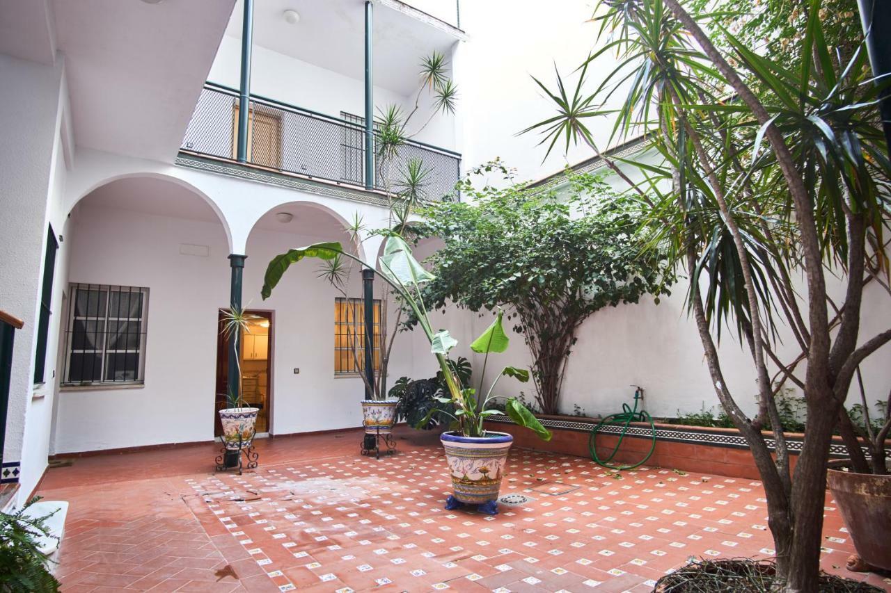 Pureza Oasis Appartement